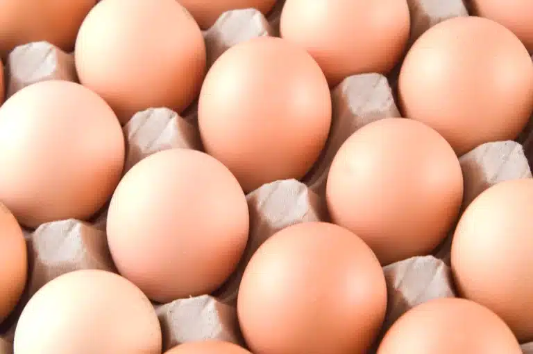 Ca - Phos -D3 - Eggs